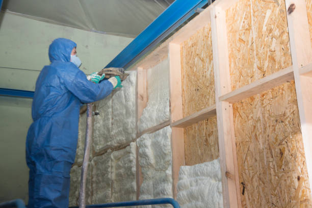 Insulation Repair Services in Ely, IA